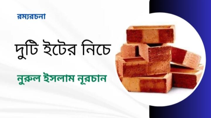 রম্যরচনা : দুটি ইটের নিচে/ নুরুল ইসলাম নূরচান 