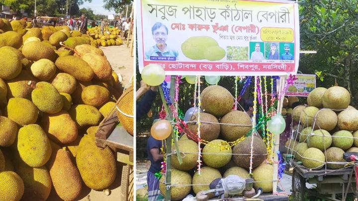 শিবপুরে আনন্দঘন পরিবেশে জাতীয় ফল কাঁঠালের বিদায় উৎসব 