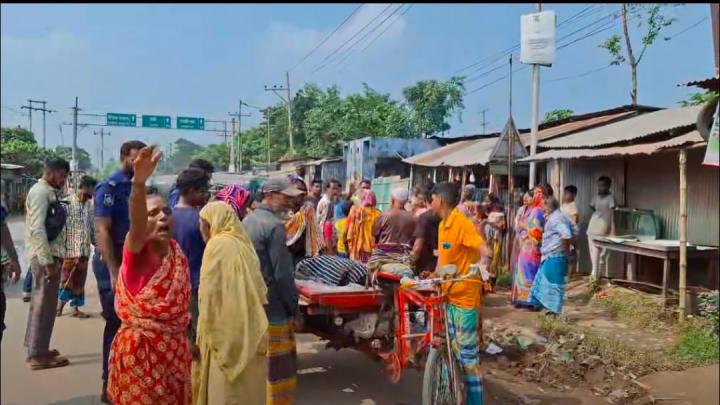 ঘোড়াশালে কুকুর বাঁচাতে গিয়ে সিএনজি উল্টে বৃদ্ধা নিহত  